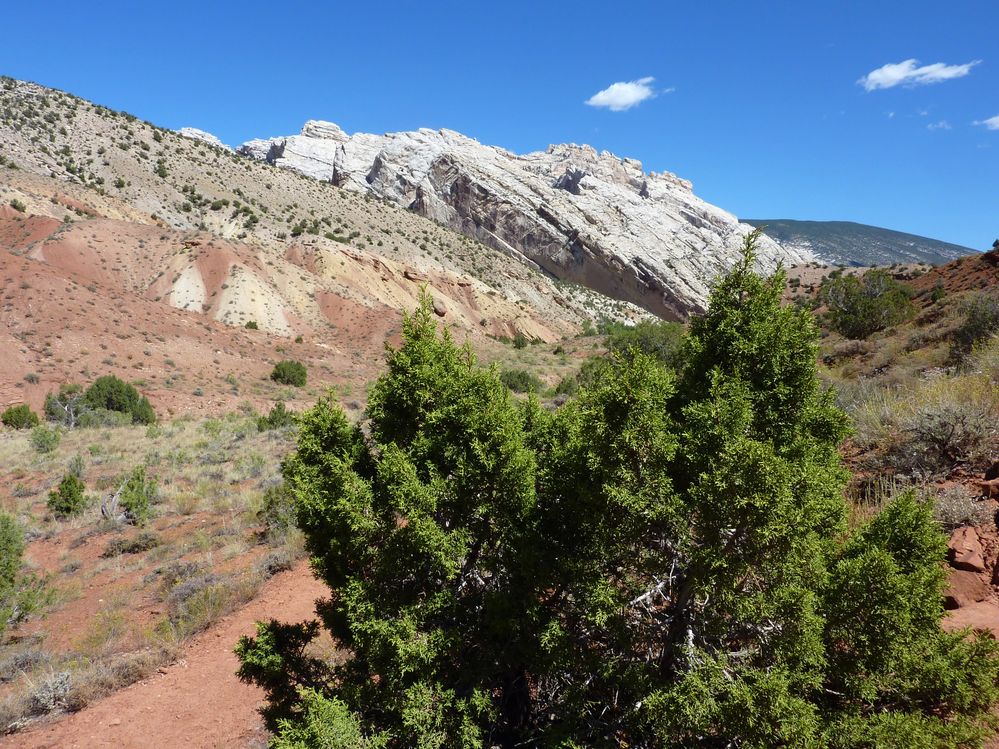 Dinosaur national park (32).JPG